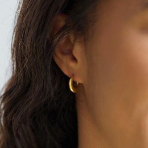 Earrings | Gold Stainless Steel Moon Hoop Earrings – Womens Earrings Earrings