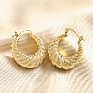 Earrings | Twisted Rope Creole Hoop Earrings in Gold – Womens Earrings Earrings