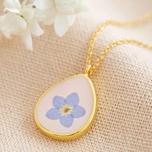 Necklaces | Real Pressed Forget Me Not Flower Necklace in Gold – Womens Jewellery Necklaces