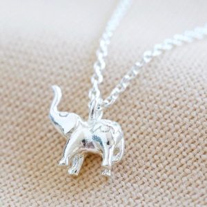 Necklaces | Tiny Elephant Pendant Necklace in Silver Silver – Womens Jewellery Necklaces